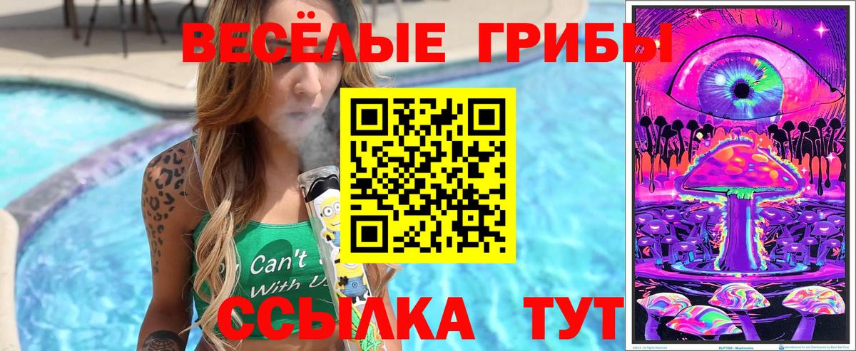 Псилоцибиновые грибы мицелий Можайск