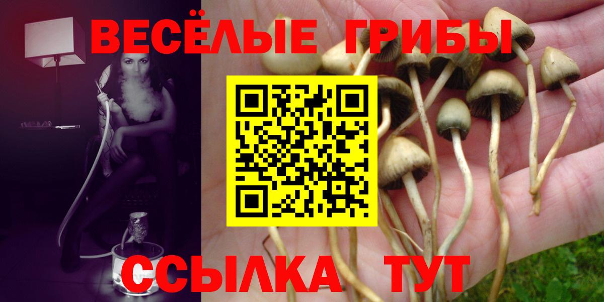 купить закладку  Галлюциногенные грибы прущие грибы  Вход с VPN  Можайск 